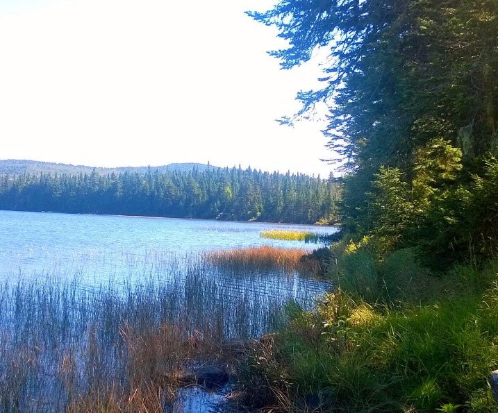 Coleman State Park, New Hampshire, USA